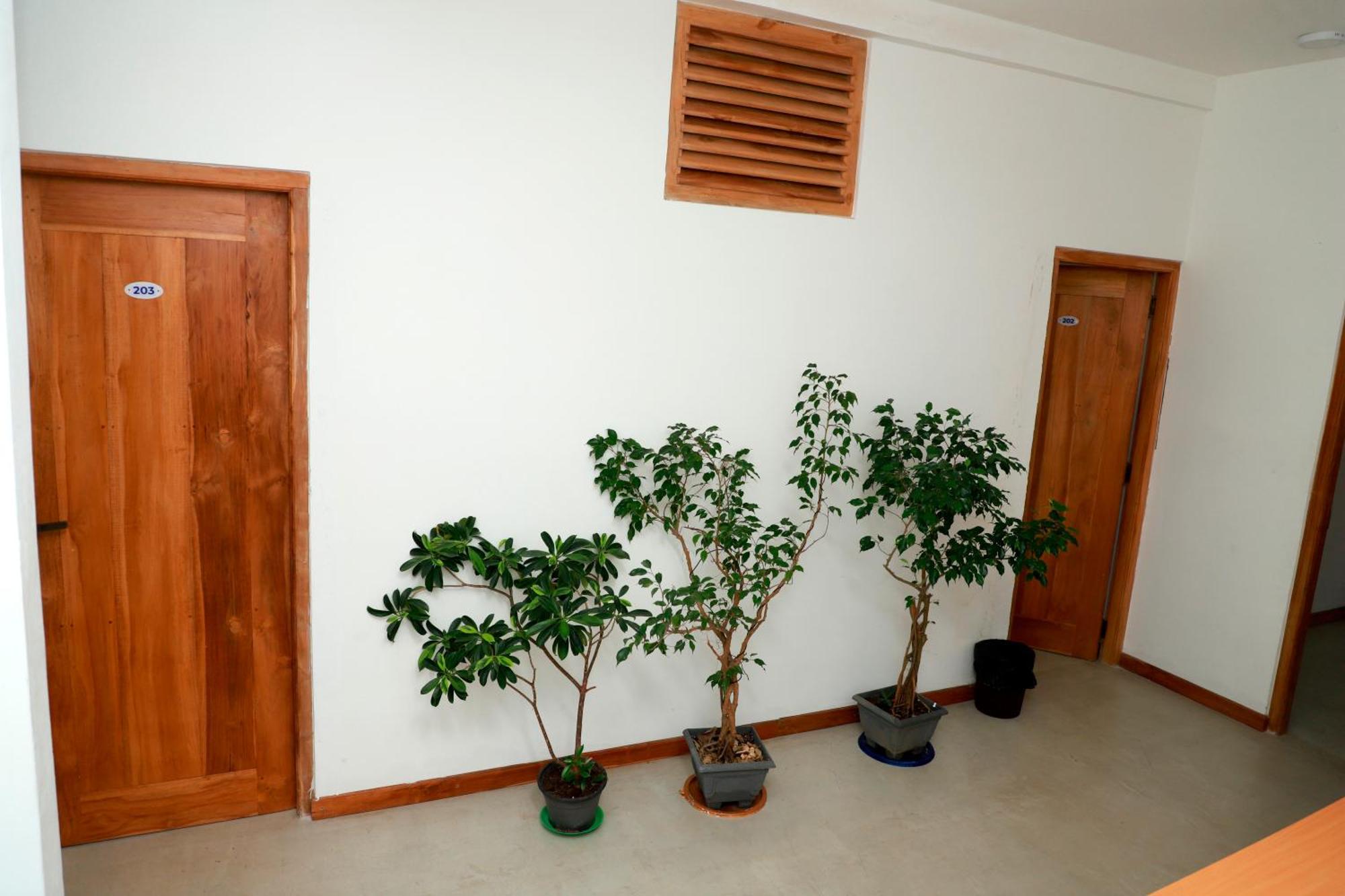 Green Edge Villa Hikkaduwa Buitenkant foto