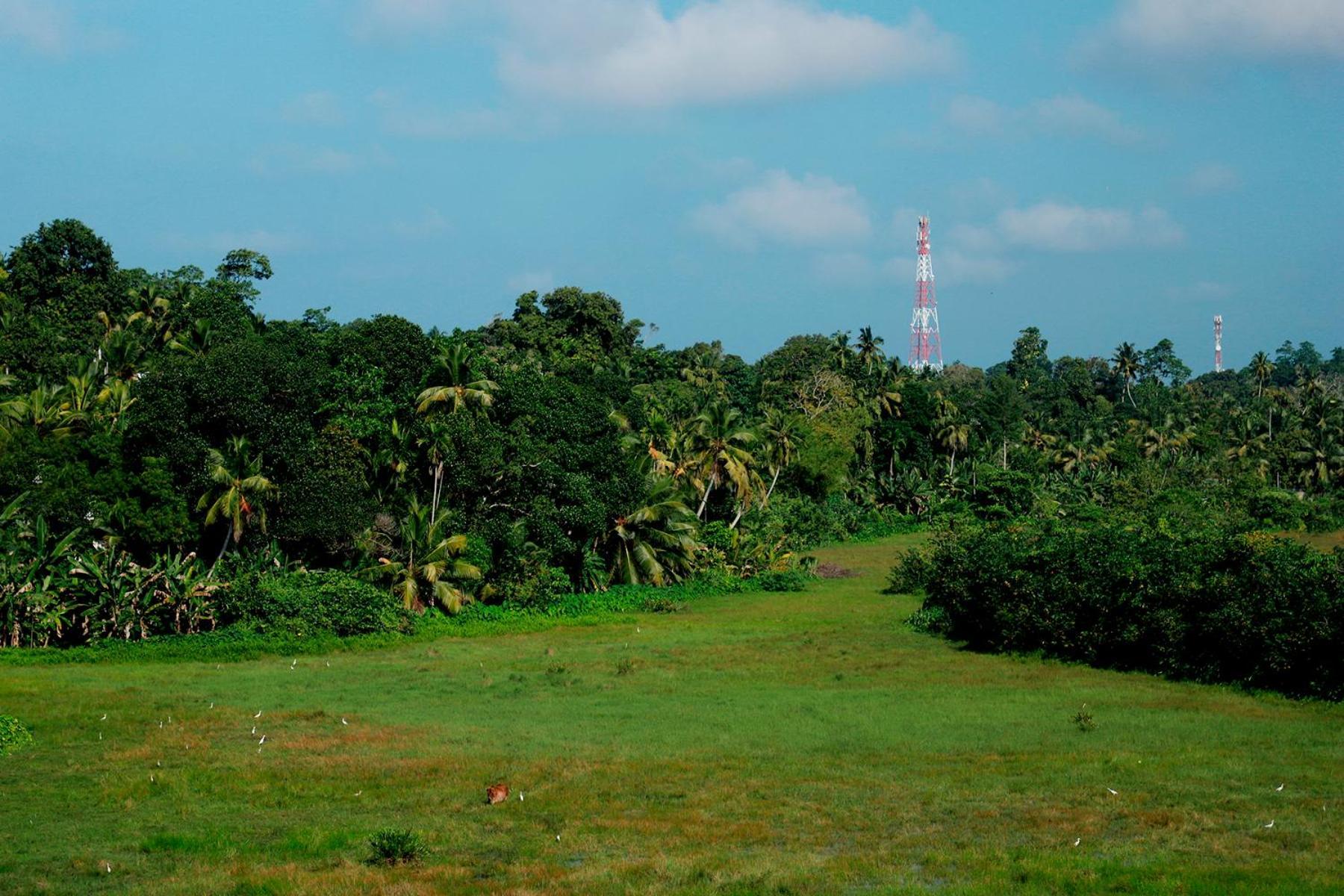 Green Edge Villa Hikkaduwa Buitenkant foto